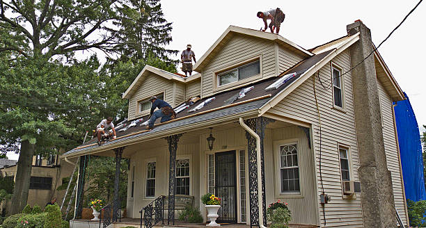 Best Shingle Roofing Installation  in Clinton, AR